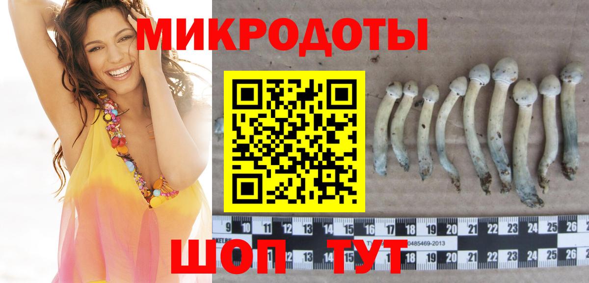 Псилоцибиновые грибы прущие грибы  Вход с VPN  Псилоцибиновые грибы Cubensis  Старая Купавна 